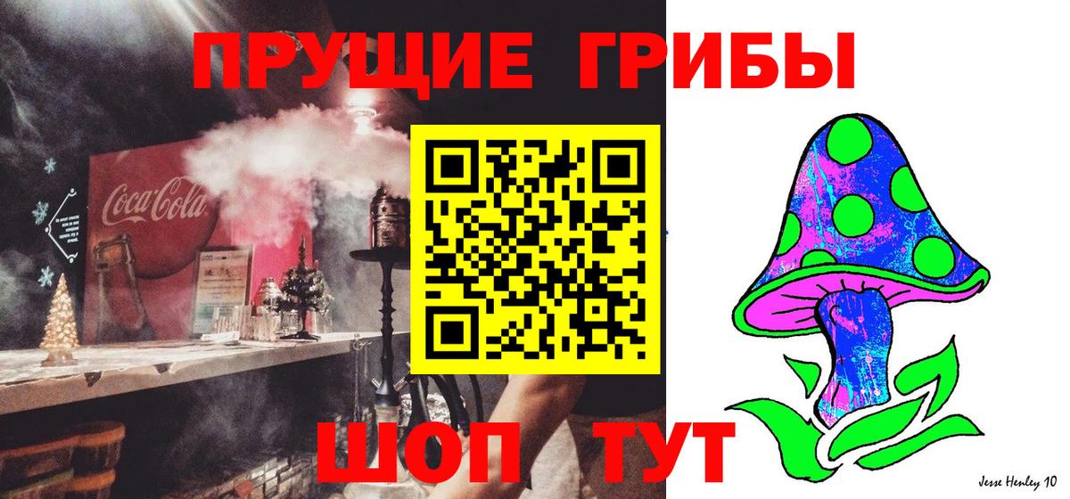 Кизляр  Псилоцибиновые грибы Cubensis  купить   Вход с VPN  Галлюциногенные грибы MAGIC MUSHROOMS 