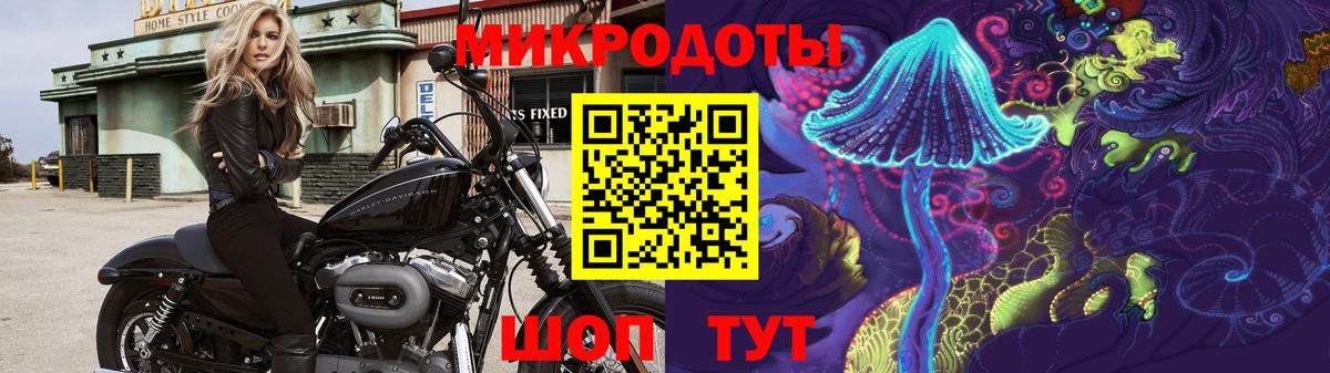 Псилоцибиновые грибы Cubensis Кизляр