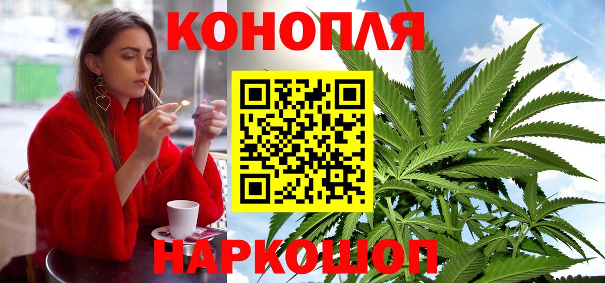 Канабис планчик Кизляр